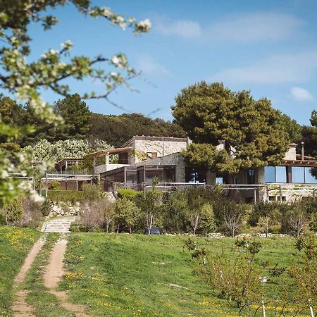 Masseria Agriturismo Torre Di Albidona เตรบิซาคเซ ภายนอก รูปภาพ