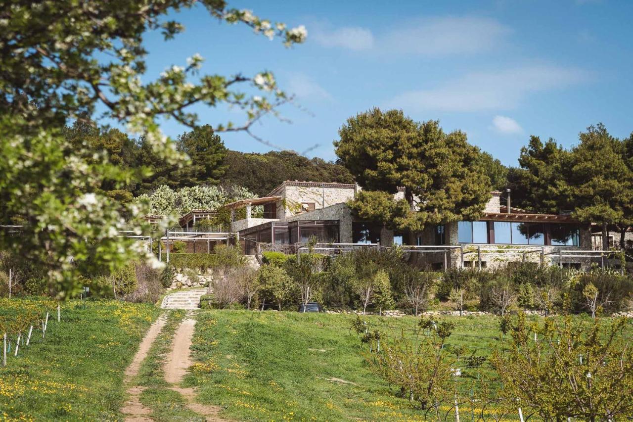 Masseria Agriturismo Torre Di Albidona เตรบิซาคเซ ภายนอก รูปภาพ