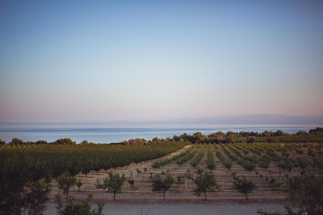 Masseria Agriturismo Torre Di Albidona เตรบิซาคเซ ภายนอก รูปภาพ