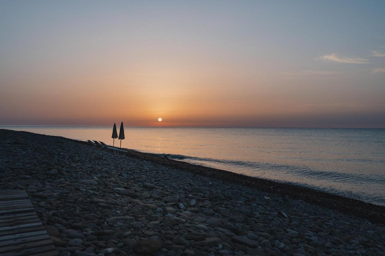 Masseria Agriturismo Torre Di Albidona เตรบิซาคเซ ภายนอก รูปภาพ
