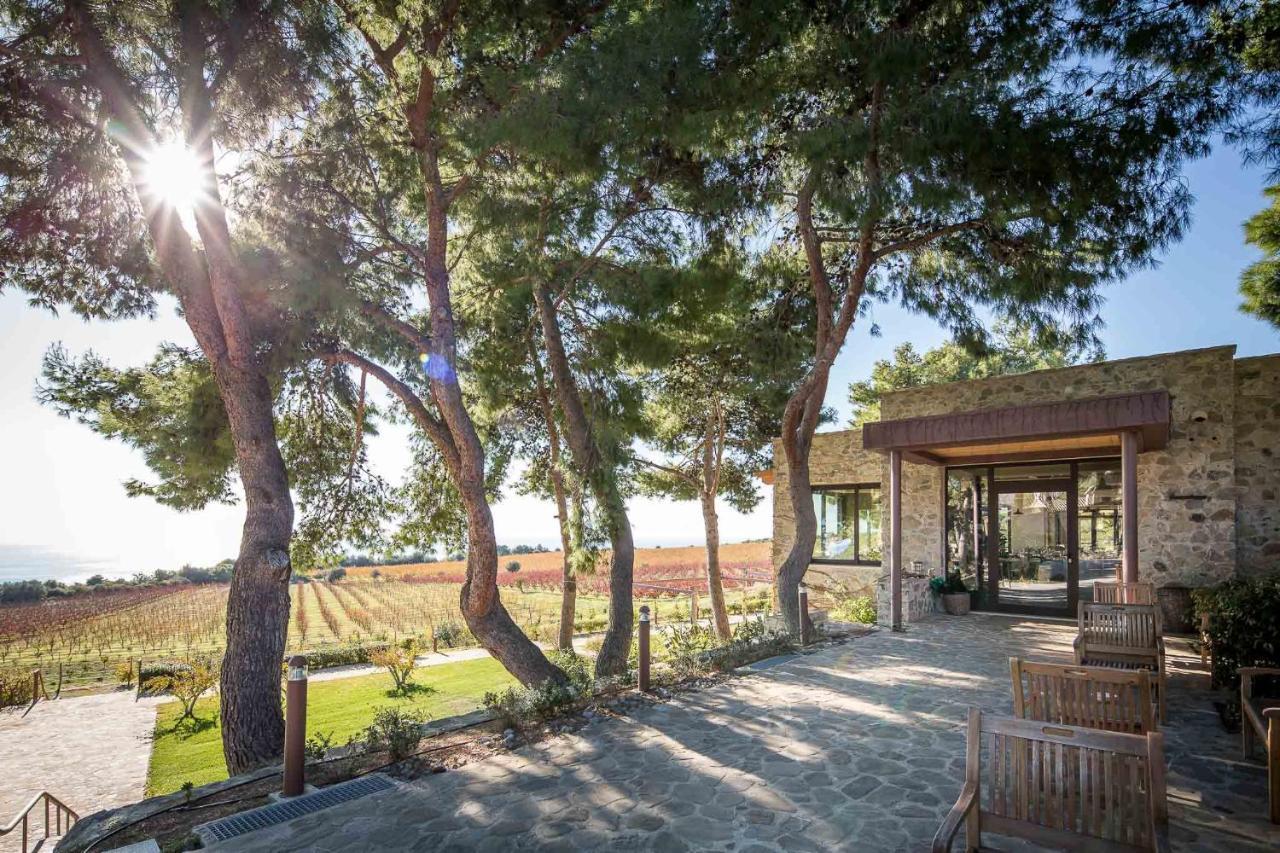 Masseria Agriturismo Torre Di Albidona เตรบิซาคเซ ภายนอก รูปภาพ